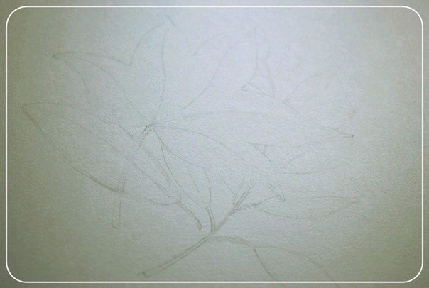 #Поэтапное_ТХ