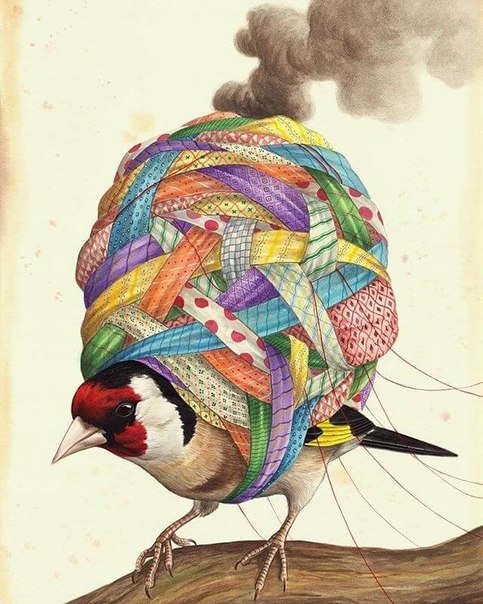 Художник El Gato Chimney