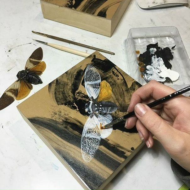 Автор Alex Louisa