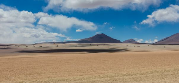 Рубрика «А знали ли вы, что» 