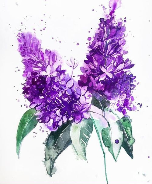 Художник Anna Ivashko