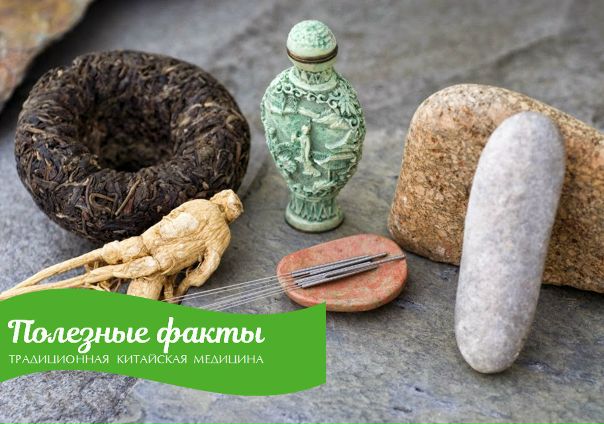 ПОЛЕЗНЫЕ ФАКТЫ