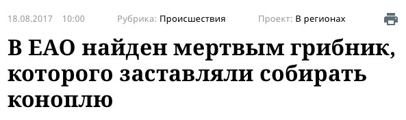Не думал что сбор грибов такая криминальная сфера. Предупрежу бабушку.
