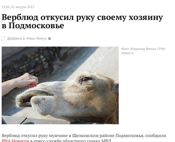 Новости Подмосковья