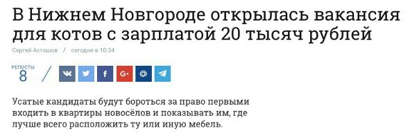 Когда даже мне захотелось насрать в тапок