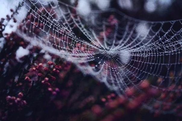 #отпуск #отдых #туристическийжурнал