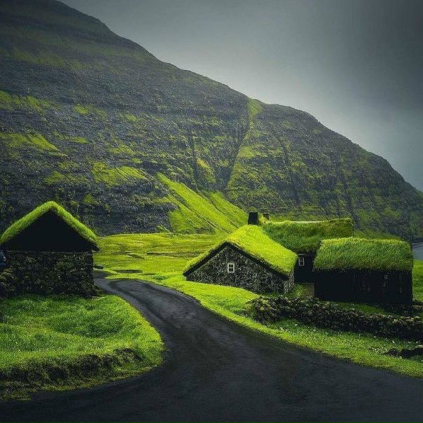 Травяные крыши появились в Норвегии, Исландии и на Фарерских островах еще в глубокой древности. Это было удобно и экономично: строительный материал под рукой, особого ухода такие крыши не требовали, служили долго, да еще и помогали замаскироваться от врагов.