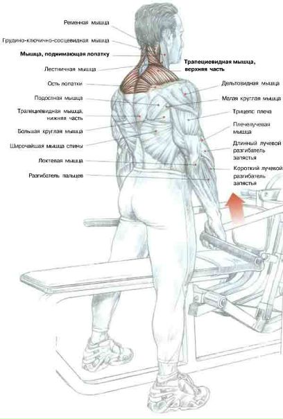 Полезные таблицы спортсменов!