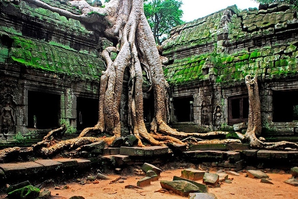 Ангкор Ват, Камбоджа