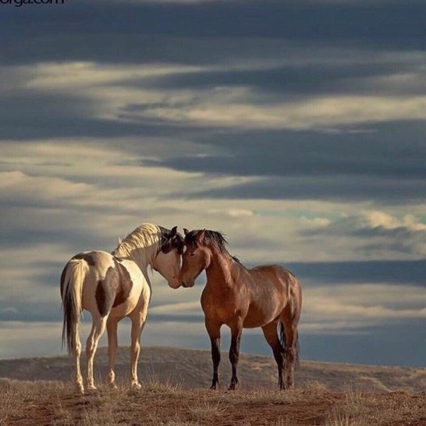 #отпуск #отдых #туристическийжурнал