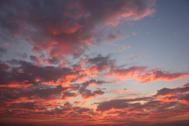 — Испытай один раз полет, и твои глаза навечно будут устремлены в небо. Однажды там побывав, на всю жизнь ты обречен тосковать о нем. 