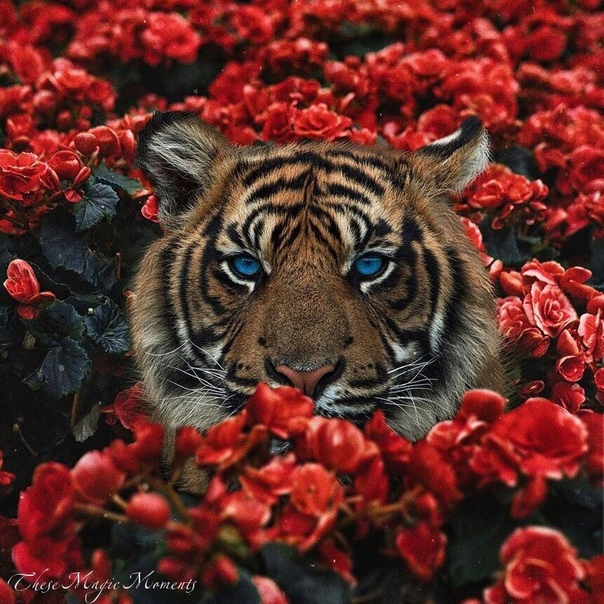 #отпуск #отдых #туристическийжурнал