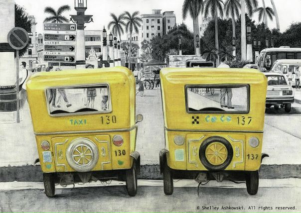 Художник Shelley Ashkowski