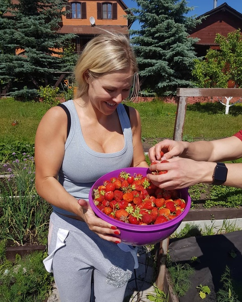 Александр Шпак: