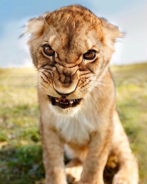 #отпуск #отдых #туристическийжурнал