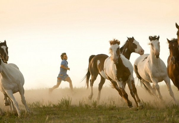 У вас есть то, чего нет больше ни у кого, – вы. Ваш голос, ваш ум, ваша история, ваше видение. Поэтому пишите, рисуйте, стройте, играйте, танцуйте, живите так, как можете лишь вы. 