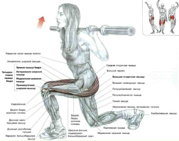 СУПЕР ПОЛЕЗНЫЕ ТАБЛИЦЫ!