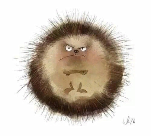 - Юля, тебе успокoительное в каплях или в таблетках 