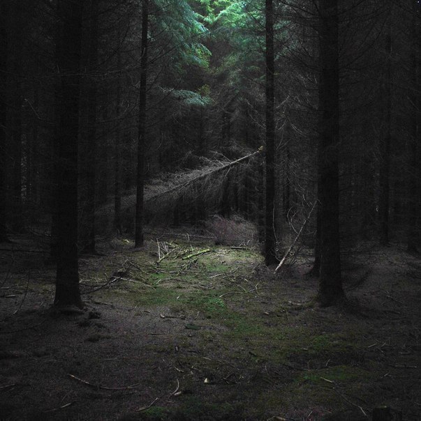 #отпуск #отдых #туристическийжурнал