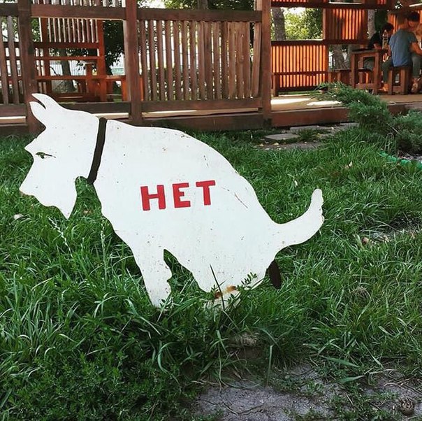 Теперь и собаке понятно